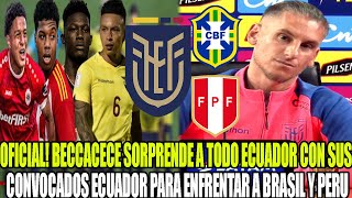 OFICIAL BECCACECE SORPRENDE A TODO ECUADOR CON SUS CONVOCADOS ECUADOR PARA ENFRENTAR A BRASIL Y PERU [upl. by Annasiul366]