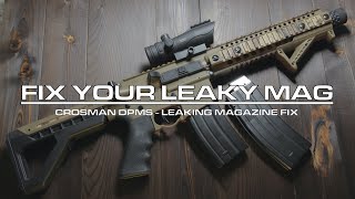 Crosman DPMS SBR Leaking Magazine Fix [upl. by Fechter]