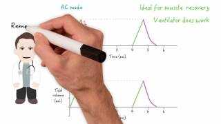 Acromioclavicular Joint Movement  Shoulder Anatomy amp Kinesiology [upl. by Hurlow]