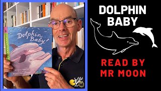 Dolphin Baby Nonfiction stories for kids at home [upl. by Nahs]