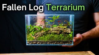 Creating a SIMPLE But BEAUTIFUL Ecosystem StepbyStep Terrarium Guide [upl. by Nilhsa]