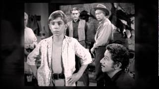 Johnny Crawford  Thats All I Want From You [upl. by Edals]