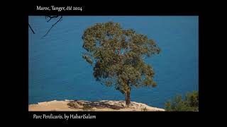 TANGER PARC PERDICARIS Maroc Entre Atlantique et Méditerrannée Tangier Morocco Summer 2024 [upl. by Alexis]