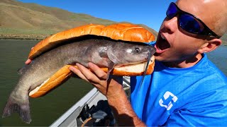 Making Catfish Hoagies [upl. by Ahtivak]