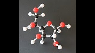 Biological molecules  condensation amp hydrolysis [upl. by Eeryk987]