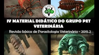 Ectoparasitas de Importância Veterinária  Carrapatos Piolhos Pulgas e Sarnas [upl. by Aizti]