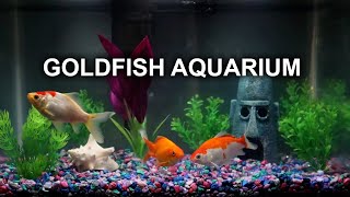 GOLDFISH AQUARIUM  8 HOURS  RELAXING  NO MUSIC [upl. by Hersh642]