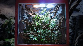 Reptile Vivarium Build Breakdown  Technical Details and Build Process Explained [upl. by Yssej468]