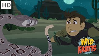 Wild Kratts  The Wildlife Adventure  Kids Videos [upl. by Aihtniroc]