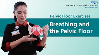 Pelvic Floor Exercises  Breathing and the Pelvic Floor [upl. by Atined]