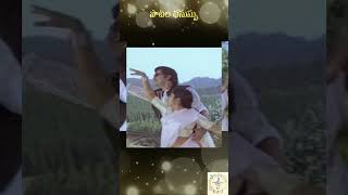 జానకి కలగనలేదు  Janaki kalaganaledu  Song short  Rajkumar 1983 [upl. by Eerot]