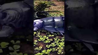 The fauna of the Carboniferous period history universe documentary [upl. by Bari554]