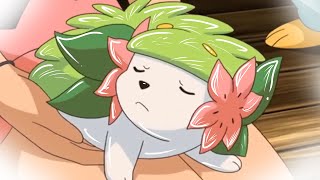 Shaymin The grATTITUDE Pokémon [upl. by Seftton]