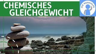 Chemisches Gleichgewicht einfach erklärt  Umkehrbarkeit Beispiele Reaktion  Anorganische Chemie [upl. by Akeirahs588]