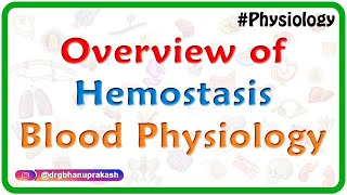 Overview of Hemostasis  Blood physiology Animated video lecture for MBBS [upl. by Carpenter]