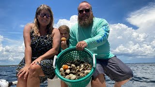 Scalloping in Steinhatchee Catch Clean Cook [upl. by Dawna999]