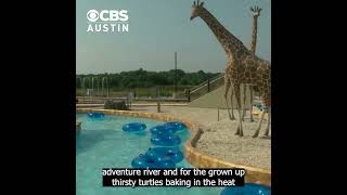 Kalahari Resorts in Round Rock unveils outdoor waterpark expansion [upl. by Quick172]