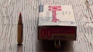 223 Remington Hornady 55gr VMAX Review [upl. by Aihsram]