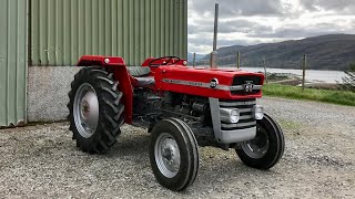 Massey Ferguson 135 Restoration [upl. by Luann]