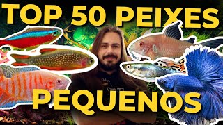 🔴TOP 50 PEIXES E INVERTEBRADOS PEQUENOS PARA AQUÁRIOS Mr Betta [upl. by Britney]