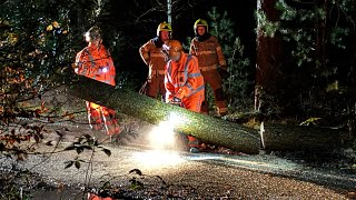 Brandweer zaagt boom weg die over de Noorderweg hing in Nunspeet [upl. by Poler]