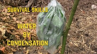 HOW TO COLLECT WATER BY CONDENSATION [upl. by Leorsiy]