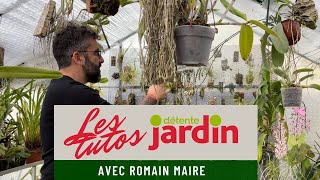 Comment entretenir mon orchidée [upl. by Constantin]