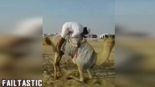 Arabic Funny Video Collection  Failtastic 2017 [upl. by Regdirb]