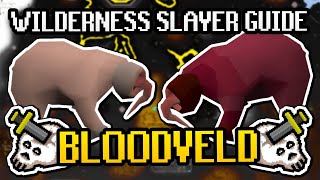 Bloodvelds Wilderness Slayer Quick Guide  EXTREMELY LOW RISK amp Budget Setup OSRS 2024 Easy Guide [upl. by Cicenia]