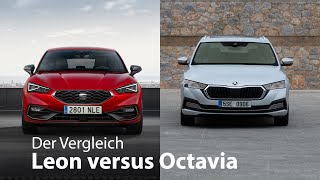 Der Vergleich Seat Leon vs Skoda Octaviaund die anderen zwei 4K  Autophorie [upl. by Ringe]