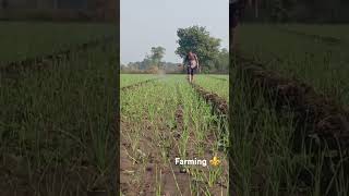 farming villagelife kisan millionviews ronaldo [upl. by Aicenad]