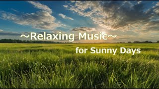 Sunny Day Melodies Peaceful BGM for a Joyful Day [upl. by Bensky587]