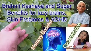 Brahmi leaves kashayam  Memory Booster Skin problems amp ADHD  Dr Khadar Lifestyle [upl. by Ruella]