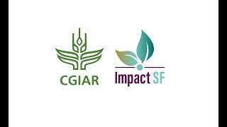 CGIAR Hub for Sustainable Finance ImpactSF [upl. by Anma546]