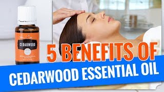 5 Benefits of Cedarwood Essential Oil [upl. by Ahsien]