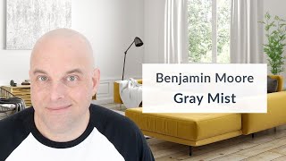 Benjamin Moore Gray Mist Color Review [upl. by Eniamzaj762]