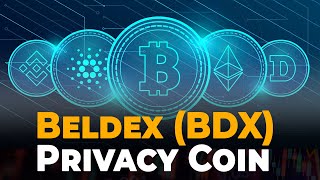 What is the Beldex BDX Privacy Coin [upl. by Onileva]