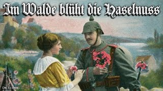 Im Walde blüht die Haselnuss German soldier songEnglish translation [upl. by Ynove513]