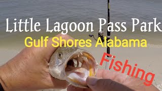 Fishing Little Lagoon Pass Park Gulf Shores Alabama [upl. by Neelhtak]