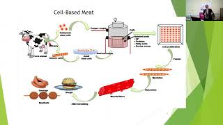 Precision fermentation and cell based meat viable alternatives [upl. by Allicirp]