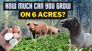 How to Plan a 6Acre Homestead For Maximum Production [upl. by Nahtnhoj]