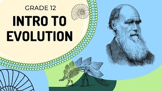 EASY TO UNDERSTAND  Introduction to Evolution [upl. by Nyrret]