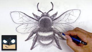 How To Draw a Bumble Bee  Sketch Sunday Step by Step [upl. by Gant]