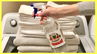 How to Whiten Whites WITHOUT BLEACH Ultra Bright Laundry Cleaning Hack  Andrea Jean [upl. by Latsyrhc]