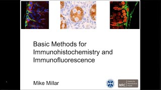 Basic Methods for Immunohistochemistry and Immunofurescence [upl. by Amej]