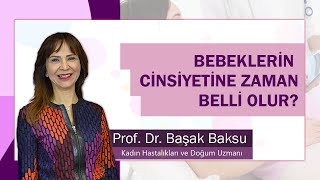 Bebeklerin cinsiyeti ne zaman belli olur [upl. by Theola]