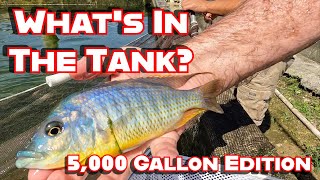 Whats in the 5000 Gallon Tanks [upl. by Yecart]