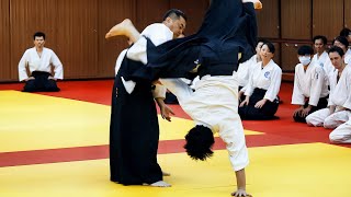 Amazing Aikido in Taiwan [upl. by Vitalis]