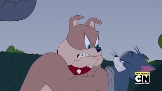 The Tom and Jerry Show Episode OneWay Cricket  Part 02  Cartoon For Kids [upl. by Eicul783]