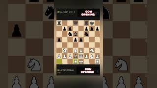 POPULAR COW OPENING chess chessgame chessopening chesspuzzle chesstactics [upl. by Ettennek391]